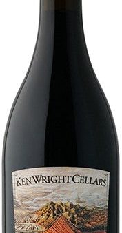 YAMHILL-CARLTON AVA PINOT NOIR (SEDIMENTARY SOIL SERIES) 2020 Hot on Sale