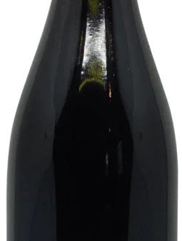 Anthony Thevenet Beaujolais Villages 2020 12x750ml 2020 on Sale