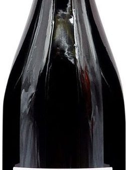 Anthony Thevenet Morgon 2019 12x750ml 2019 on Sale